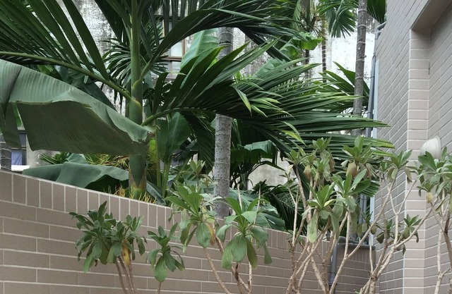 Summerle No 11 Hostel