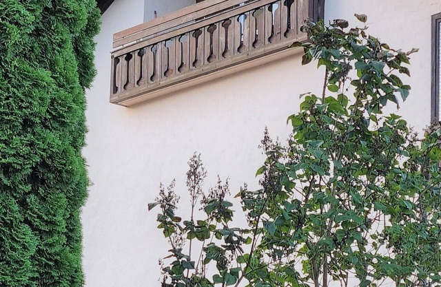 Summit oasis, beautiful vacation apartment with loft character