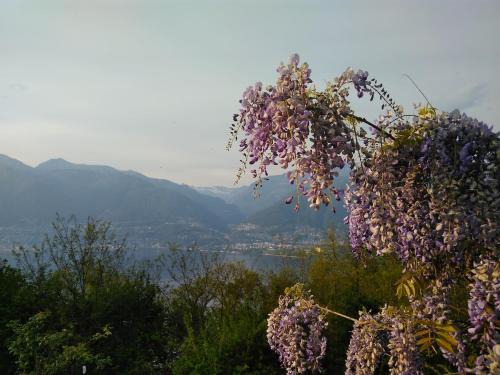 Sun, fun & relaxation, the Ticino for you!