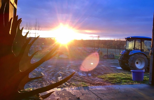 Sunderland Ranch Guest Barn - Your Rustic Ranch Getaway