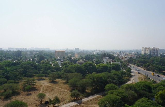 Sunlit Apartment Overlooking the City Skyline