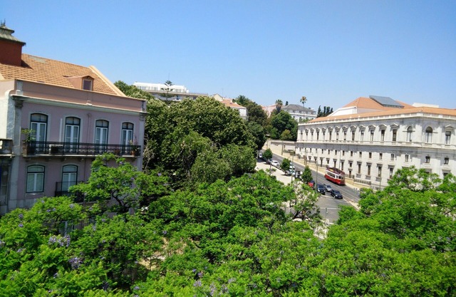 Sunny 2BR - Av. D. Carlos I, Lisbon (São Bento)