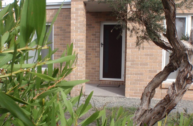 Sunny Seaside Escape