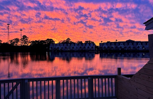 ☆Sunset Serenity! Tropical Waterfront Oasis Private Patio 10Min->KingSt & Beach☆
