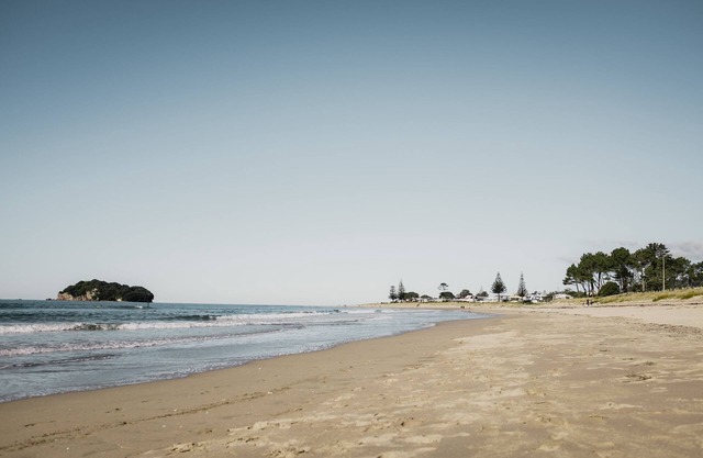 Surf N Stay Whangamata