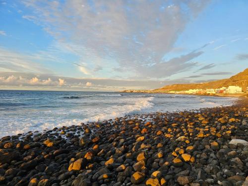 Surf Wave San Andrés