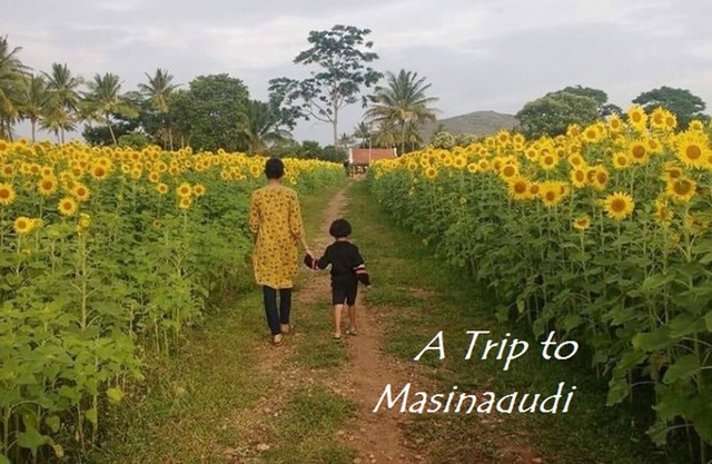 Surrounded by Greenery view Home Stay @ masinagudi