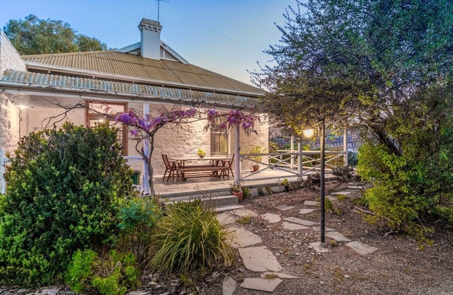 SWEET BRIAR IN THE VINES - CLARE