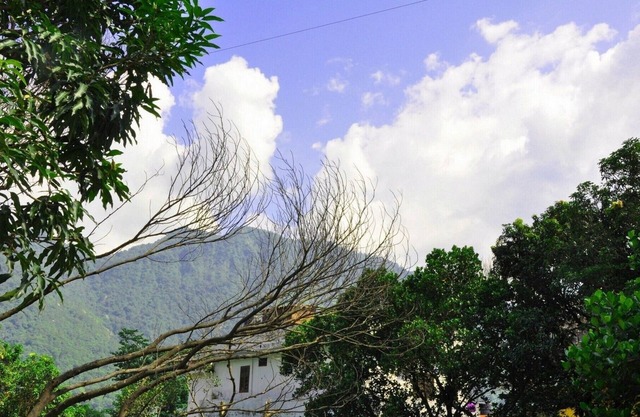 Swiss Cottage in Tapovan