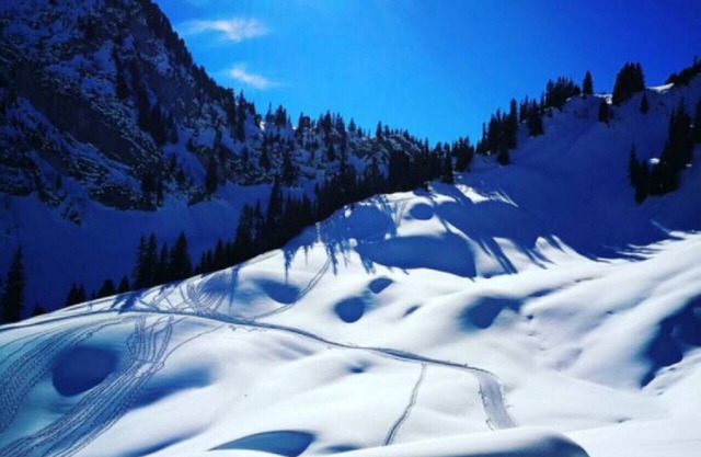 SwissHut Stunning Views Alps & Lake - Apart. Staat 22