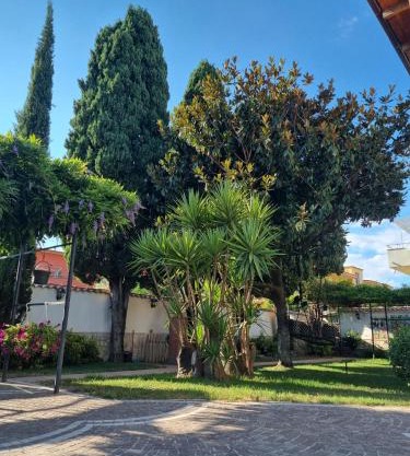 Tabor 2 garden & parking