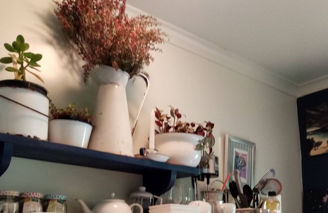 Tahakopa Lodge and The Catlins