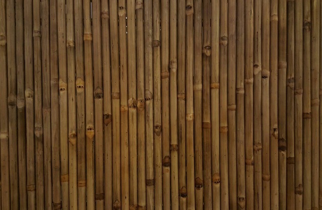 Tam Homestay Hue Viet Nam