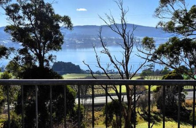 Tamar Tonic - Lush River Views