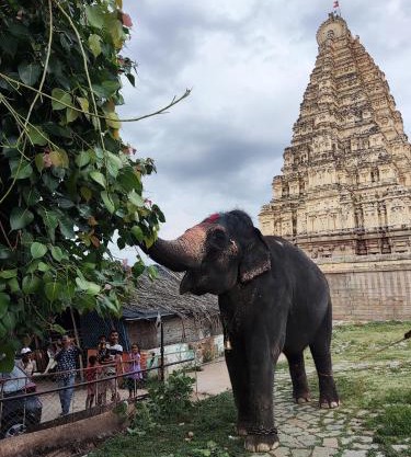 TEMPLE VIEW GUEST HOUSE