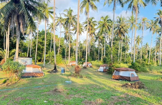Tent Room Koh Kood