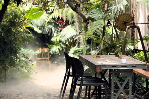 Thỏ Non Garden - Bảo Lộc Center 02