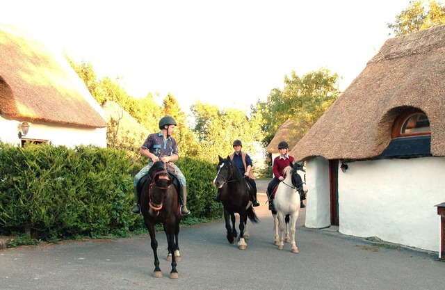 Thatched 4 person cottage