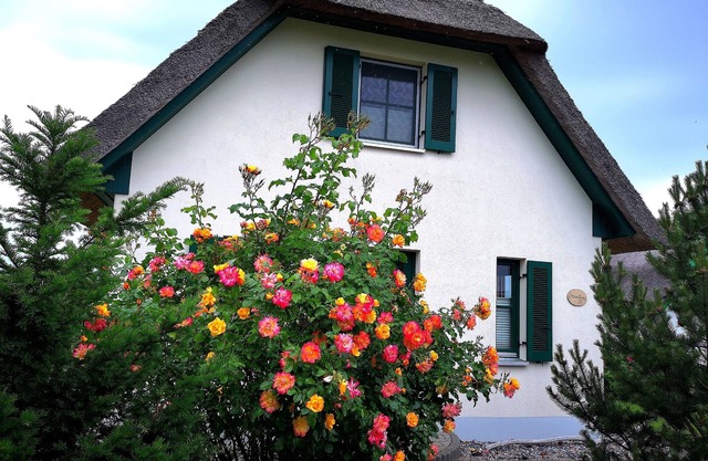 Thatched cottage Vera first row to the Baltic Sea beach wifi sauna fireplace washing machine