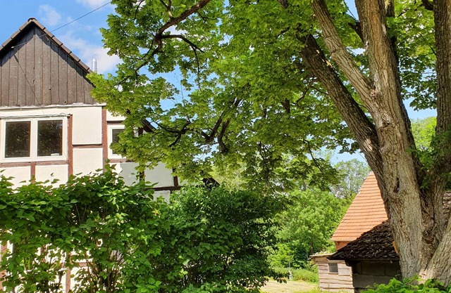 The "Alte Försterei "Feel-good place in nature, secluded location with sauna barrel and fireplace