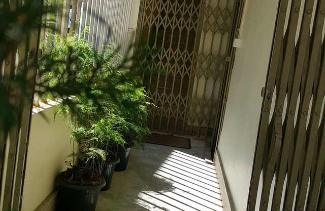 The Aura-live homely