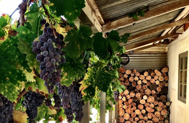 The Barn - a little bit rustic, a little bit luxe