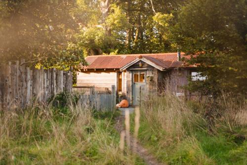 The Boatshed at Camp Plas