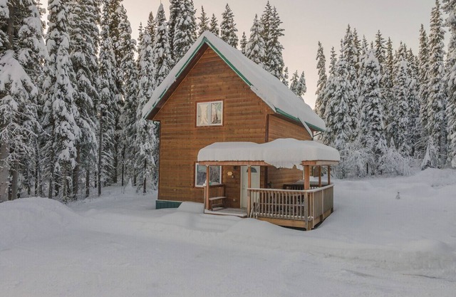 The Cabin in the Woods 2 森林小屋 2