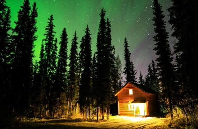 The Cabin in the Woods 3 森林小屋 3