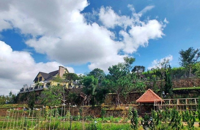 The Cleomy - Organic Living & Coffee