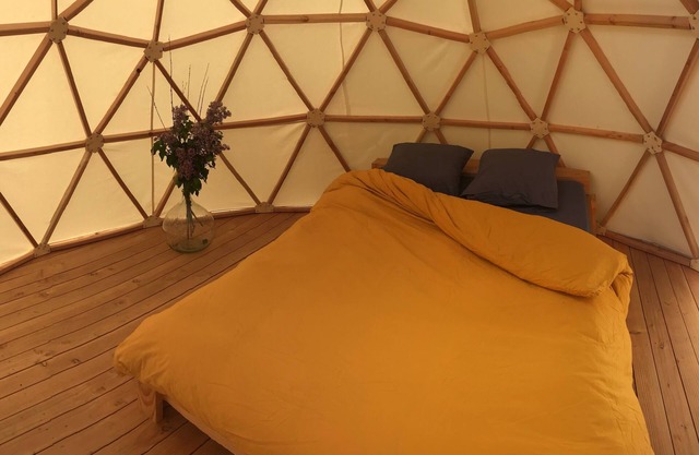 The dome, an unusual night among snails