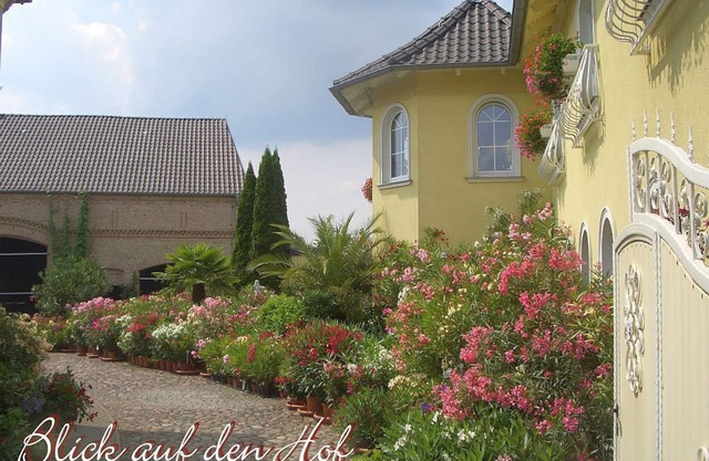 The dream of the south in the state of Brandenburg, 20 km south of Berlin