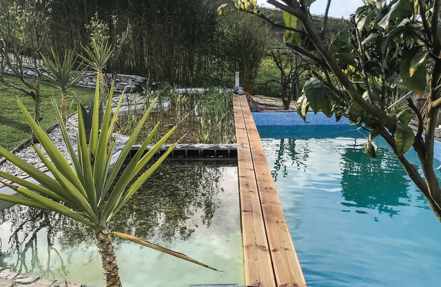 The Far End Surf House