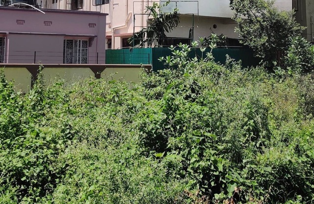 THE GREAT DOUBLE BED ROOM V