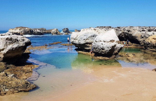 The Great Ocean Rd Shack with river water views from every window.