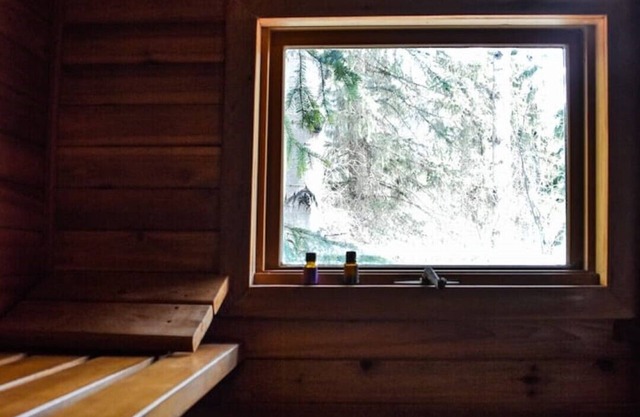 The Hütte | Firepit | Projector | TheBlaeberryBase