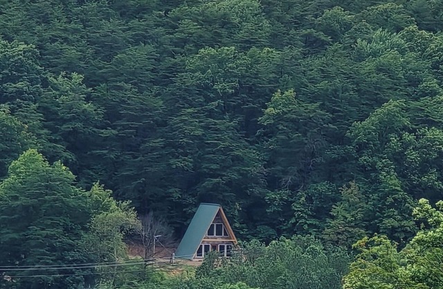 The H/skell near Fall Creek Falls