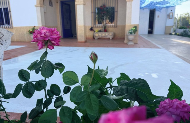 The House of Flamenco