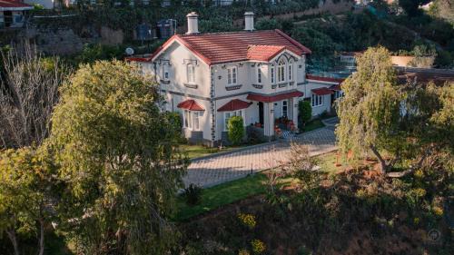 The Humming Bird A Stay Chapter