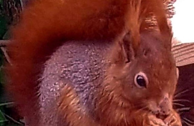 The ideal quiet retreat and a good base for all walking and activity amenities