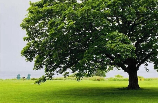 The Idle Hour: Heritage. Place. Belonging.