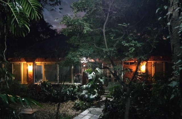 The Jungle Bungalow #Bella Finestra is a nature's bliss.