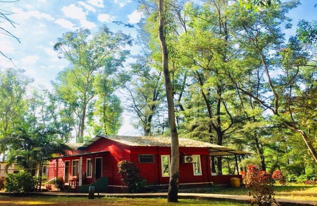 The Jungle Resort Amba