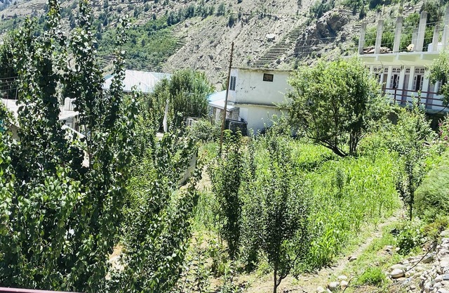 The Kuber Hotel & Restaurant