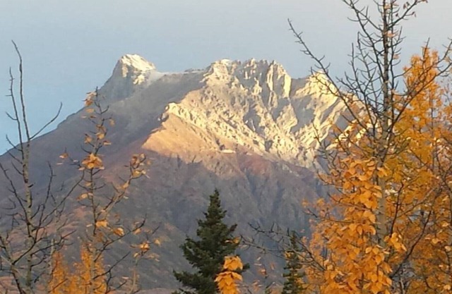 The Kuskulana at Currant Ridge - Deluxe Private Lodging!