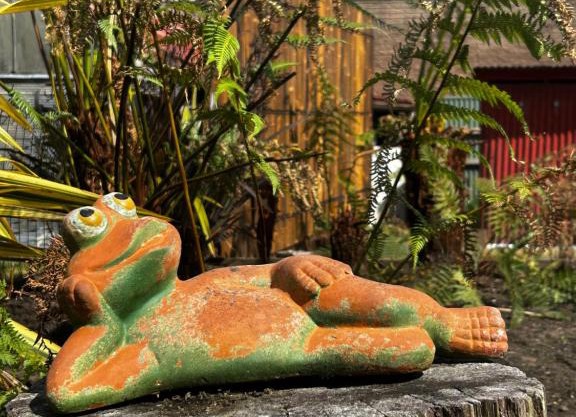 The Lazy Frog Cottage