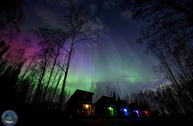 The Lazy Lynx - Frontier Village