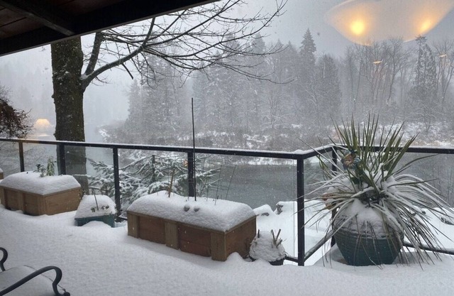 The Lewis River Zen Retreat