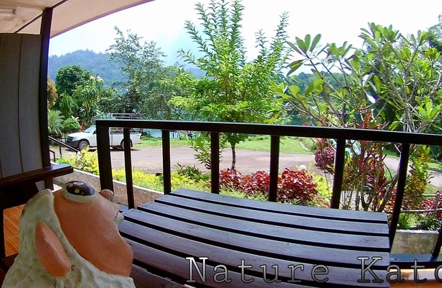 The Nature Club Resort