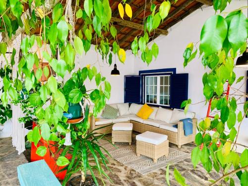 The Oak Tree Farm - Open Layout Concept by Portus Alacer - Ideal for Families - Unplug, Unwind, and Reconnect with Nature